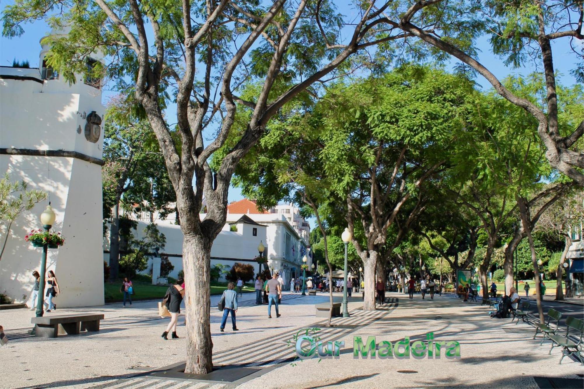 Ourmadeira - Heart Of Old Town I Daire Funchal Dış mekan fotoğraf